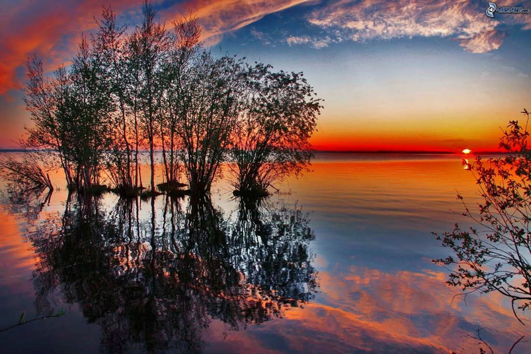 Ранняя зима. Апрель природа. Скупая природа. Весенний вечер в лесу. Скупая природа.