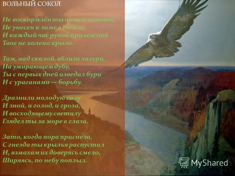о соколе и буревестнике горький. описание птиц. горький м. иллюстрация к стихотворению вольный сокол. сапсан птица красная книга.
