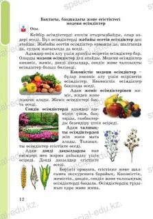 Олар билеп, көңіл көтереді