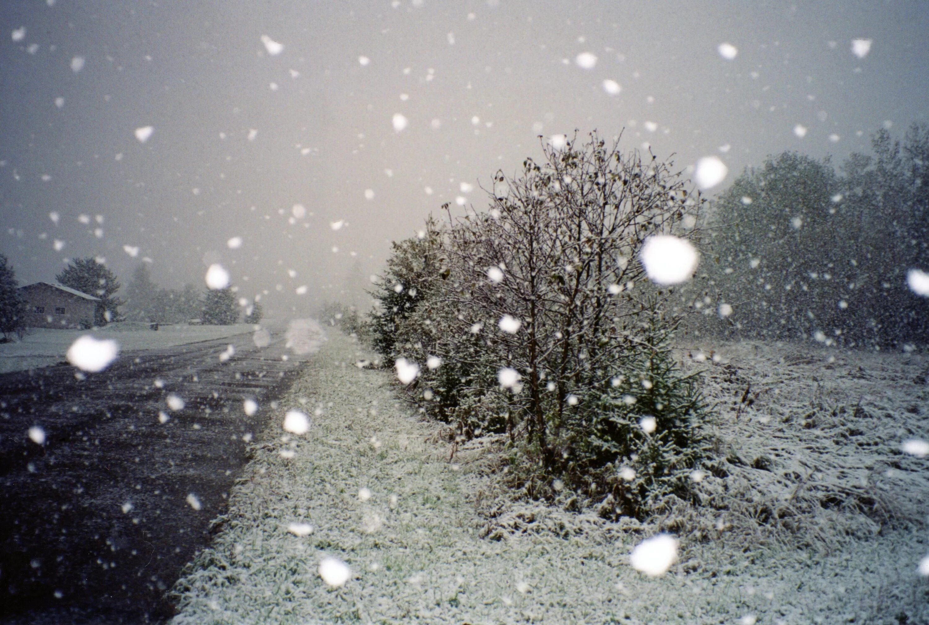 Дождь снег картинки. Снег. Дождь зимой. Осадки снег. Снег с дождем.