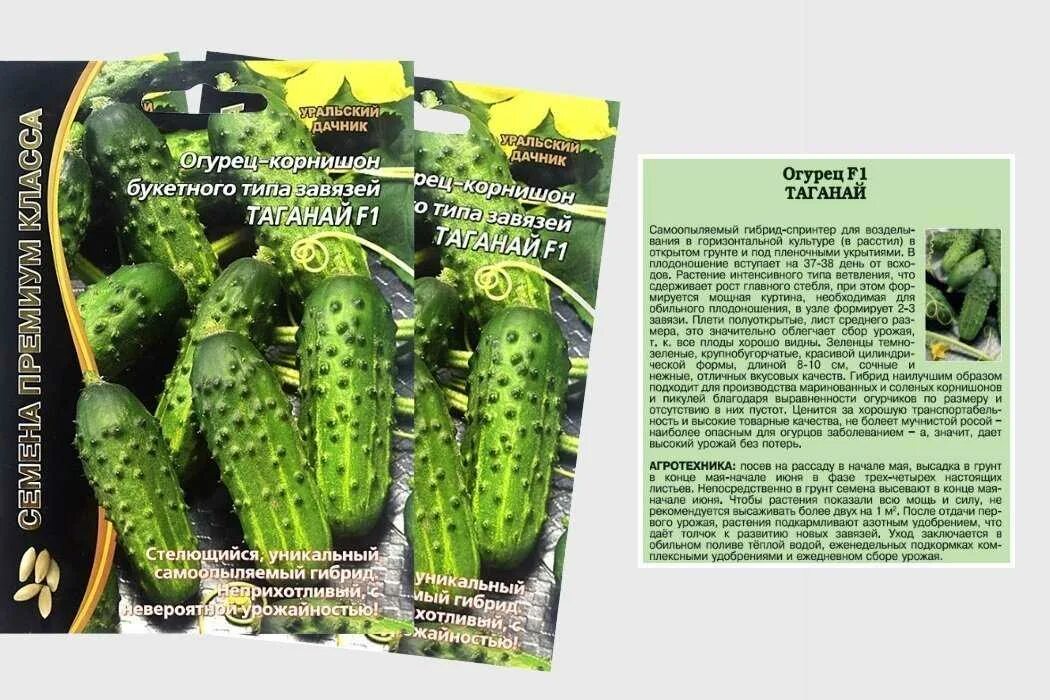 Огурцы таганай описание сорта фото отзывы Фитостудия-63.ру