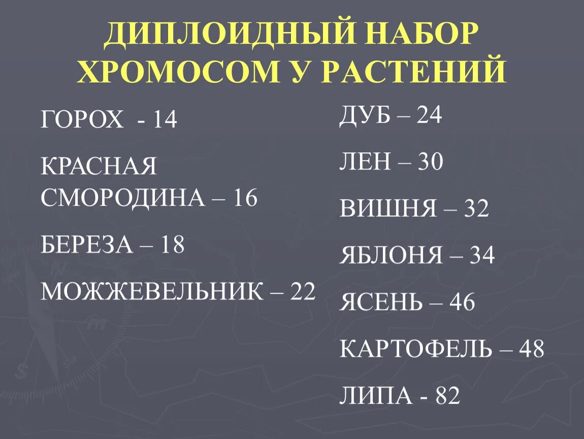 Диплоидный набор хромосом человека сколько. Диплоидный набор хромосом. Диплоидный набор хромосом у растений. Диплоидный набор хромомосом. Диплоидный набор хромосом имеют.