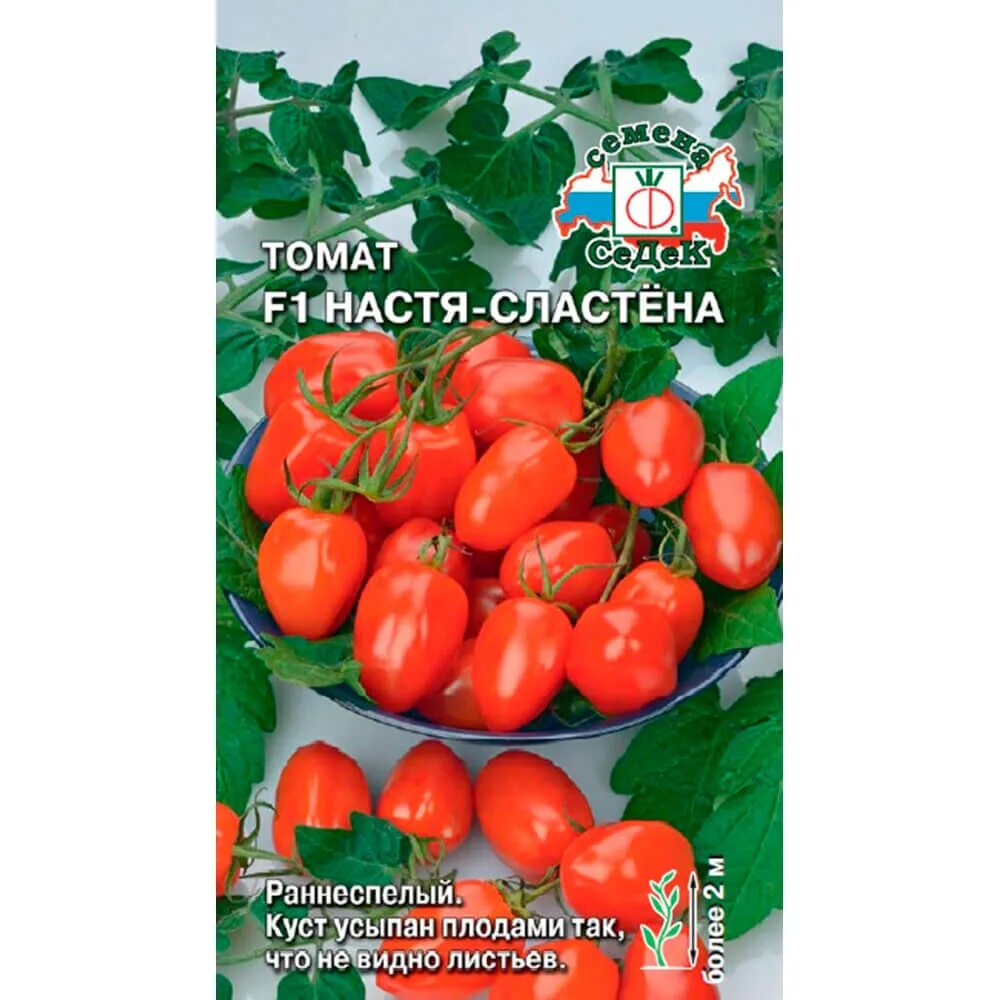Купить семена томата настенька. Семена томатов Настя-Сластена f1. Томат Настя Сластена f1 0,05г ц/п (СЕДЕК). Томат Настя сластёна f1. СЕДЕК томат Настя-сластёна f1.