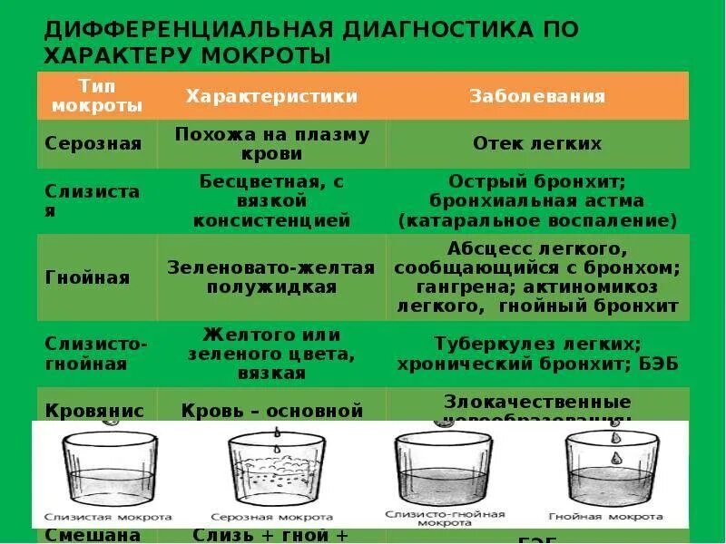 Образование мокроты. Исследование мокроты при бронхите. Химическое исследование мокроты. Нормальные значения мокроты.