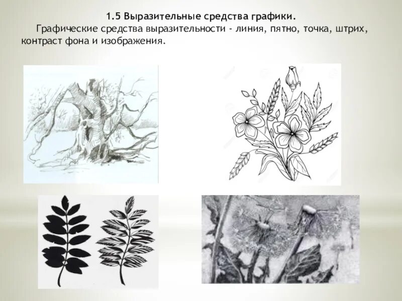 Графика первые уроки. Графические средства линия точка пятно. Средства выразительности в графике точка линия штрих пятно. Выразительные средства графики. Выразительные средства графики в изобразительном искусстве.