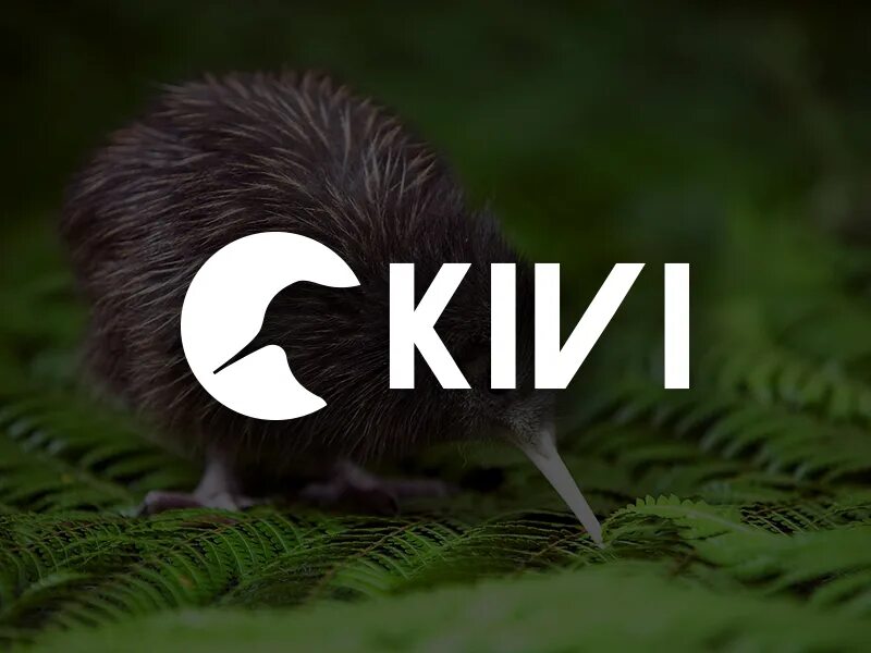Kivi media notion. Kivi логотип. киви птица логотип. логотип kivi телевизор. киви буквы арт.