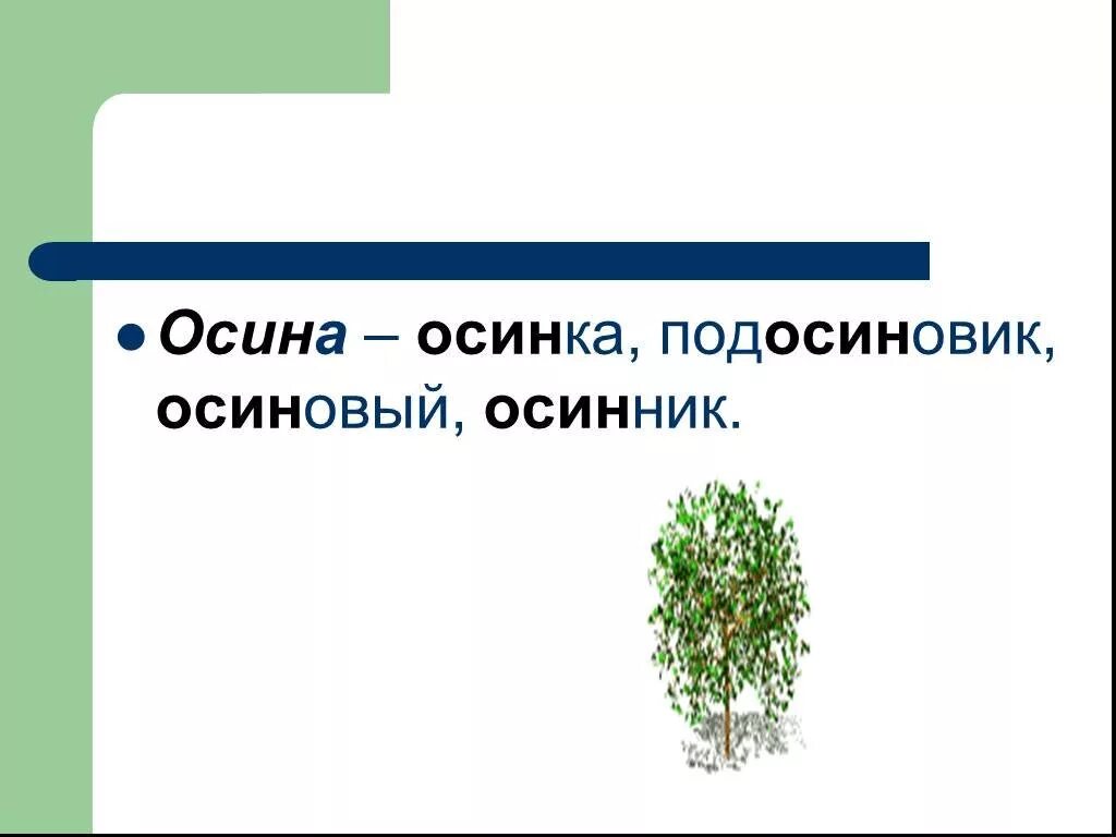 Осина однокоренные слова. Осина однокоренные. Осина подбор однокоренных слов. Осина осиновый однокоренные.