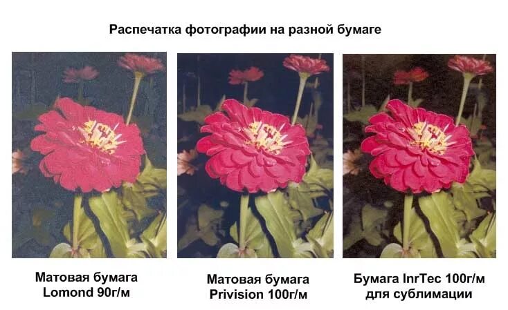 Какие фото лучше матовые или глянцевые Какие натяжные потолки лучше: глянцевые, матовые или сатиновые 49 фото Чем отли