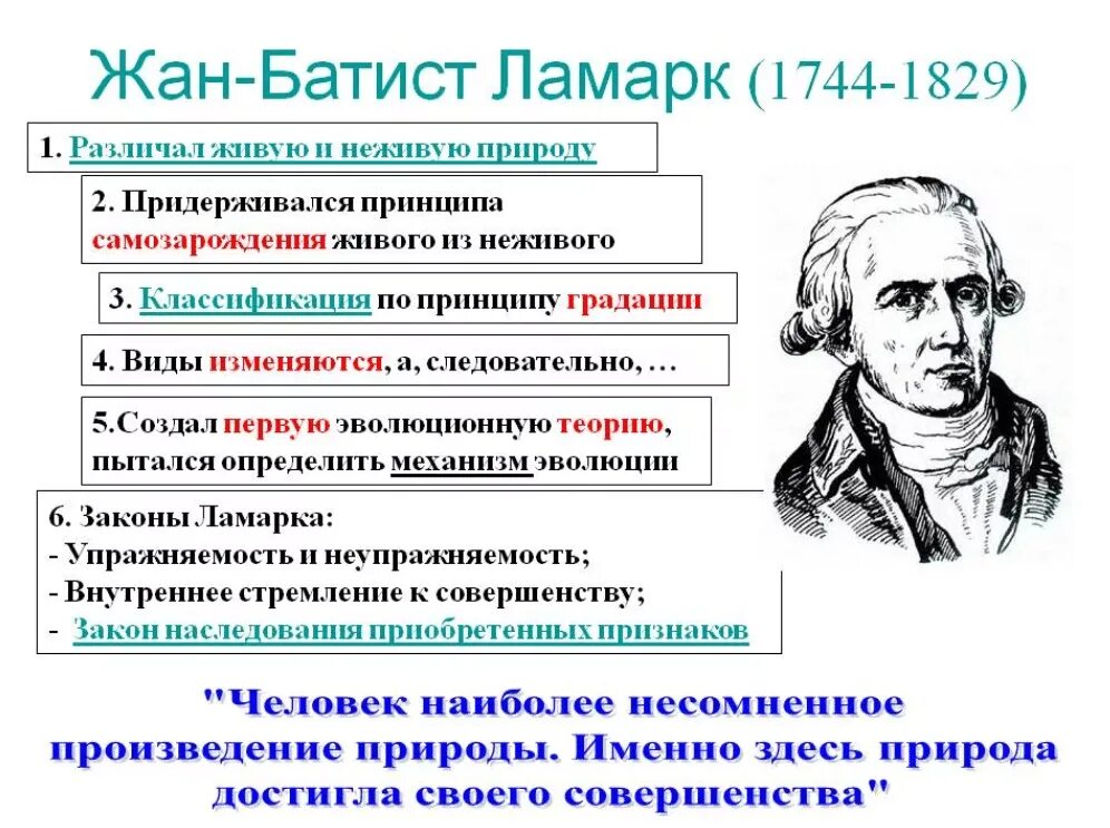 Ж Б Ламарк достижения в биологии. Учение жана Батиста Ламарка.