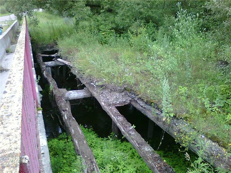 Погода в шаблыкино орловской на неделю. Парк Киреевского в Шаблыкино. Усадьба Киреевского в Шаблыкино. Шаблыкино Орловская область парк. Усадьба Киреевского Орел.