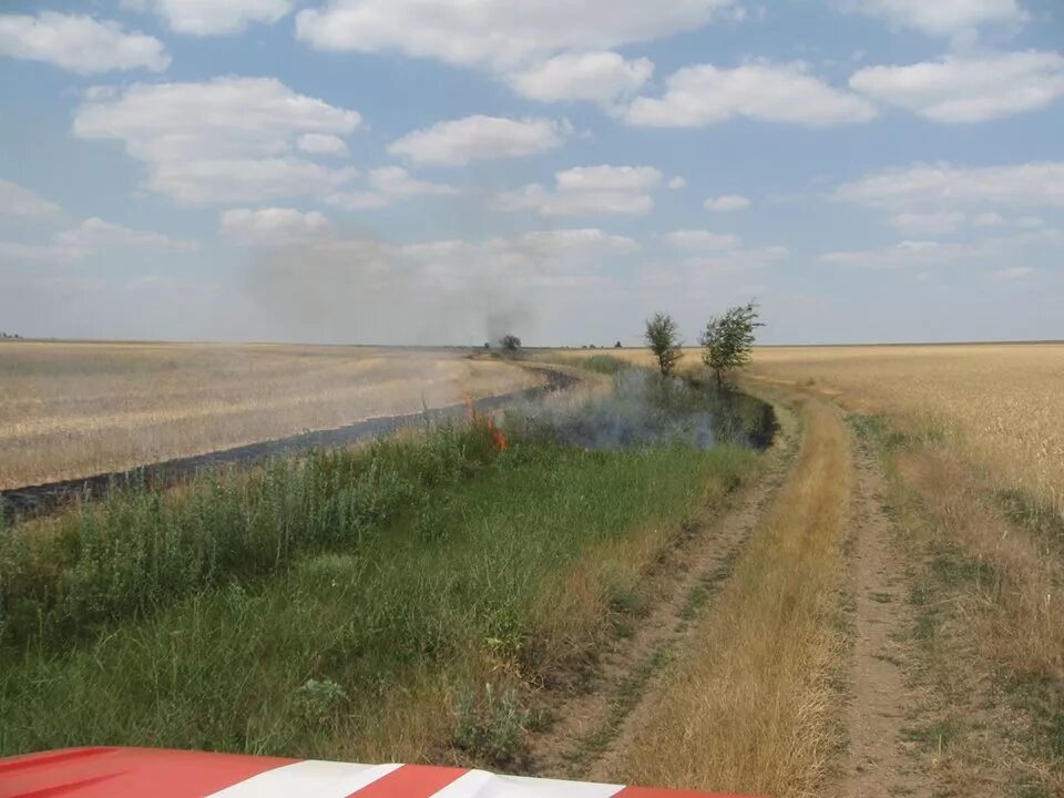 Близлежащее поле