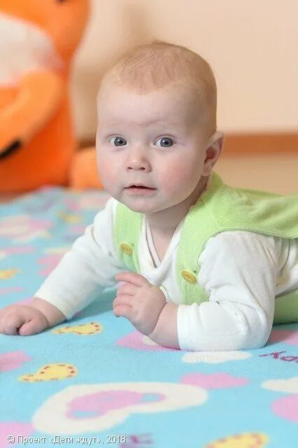 Усыновить ребенка. Красивые дети усыновить малыши. Усыновить ребенка девочку. Дом малютки база данных детей. Усыновить младенца из дома малютки.