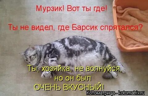 Нигде не видел