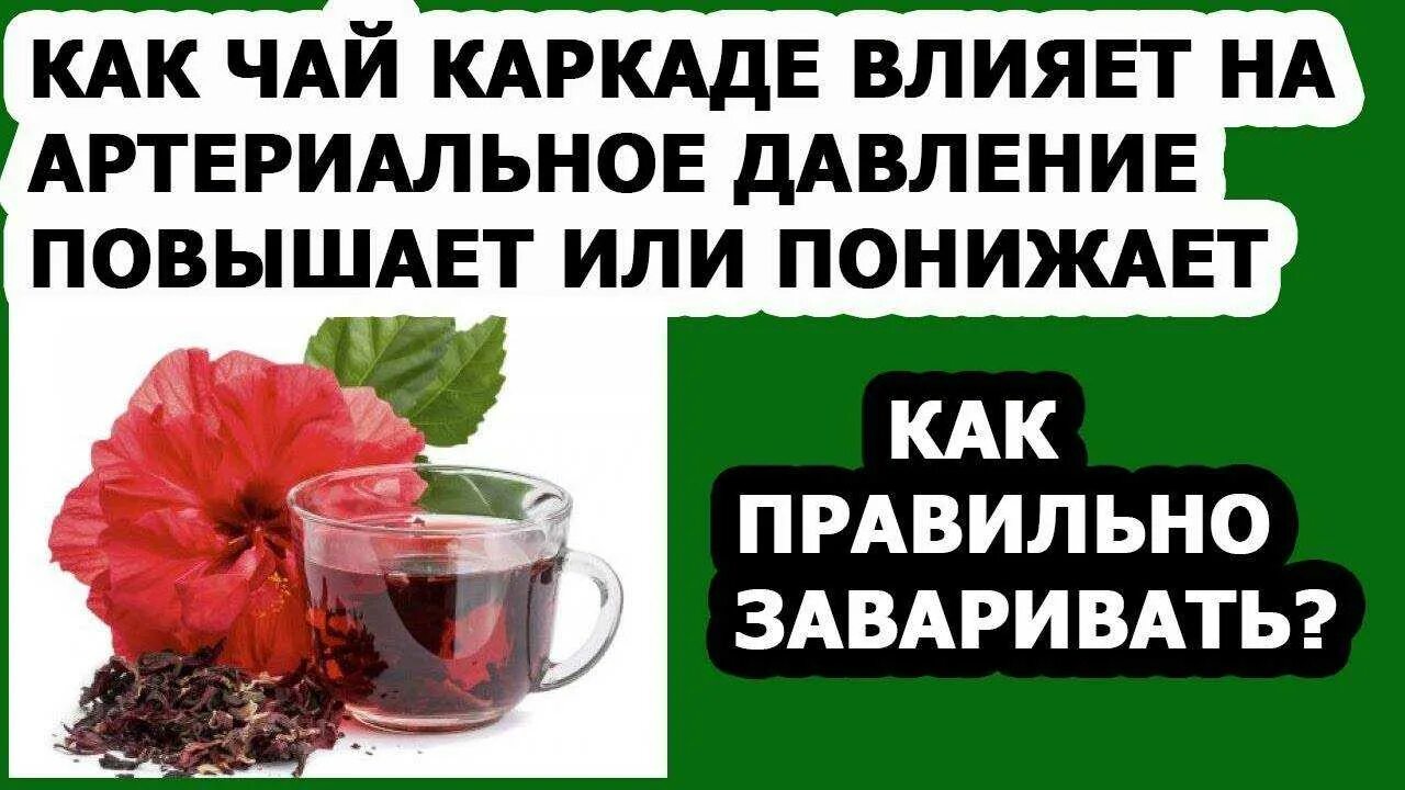 Каркаде чай повышает или понижает давление. Чай каркаде понижает давление. Каркаде холодный понижает давление.