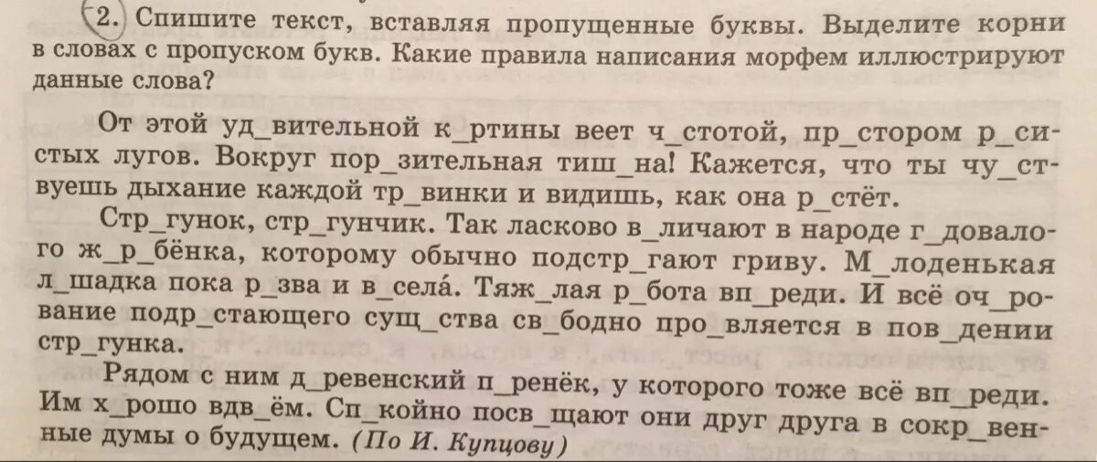 Кулакова дай списать текст. Кулакова песня текст. Кулакова текст песни. Текс песни Кулокова дай списать.