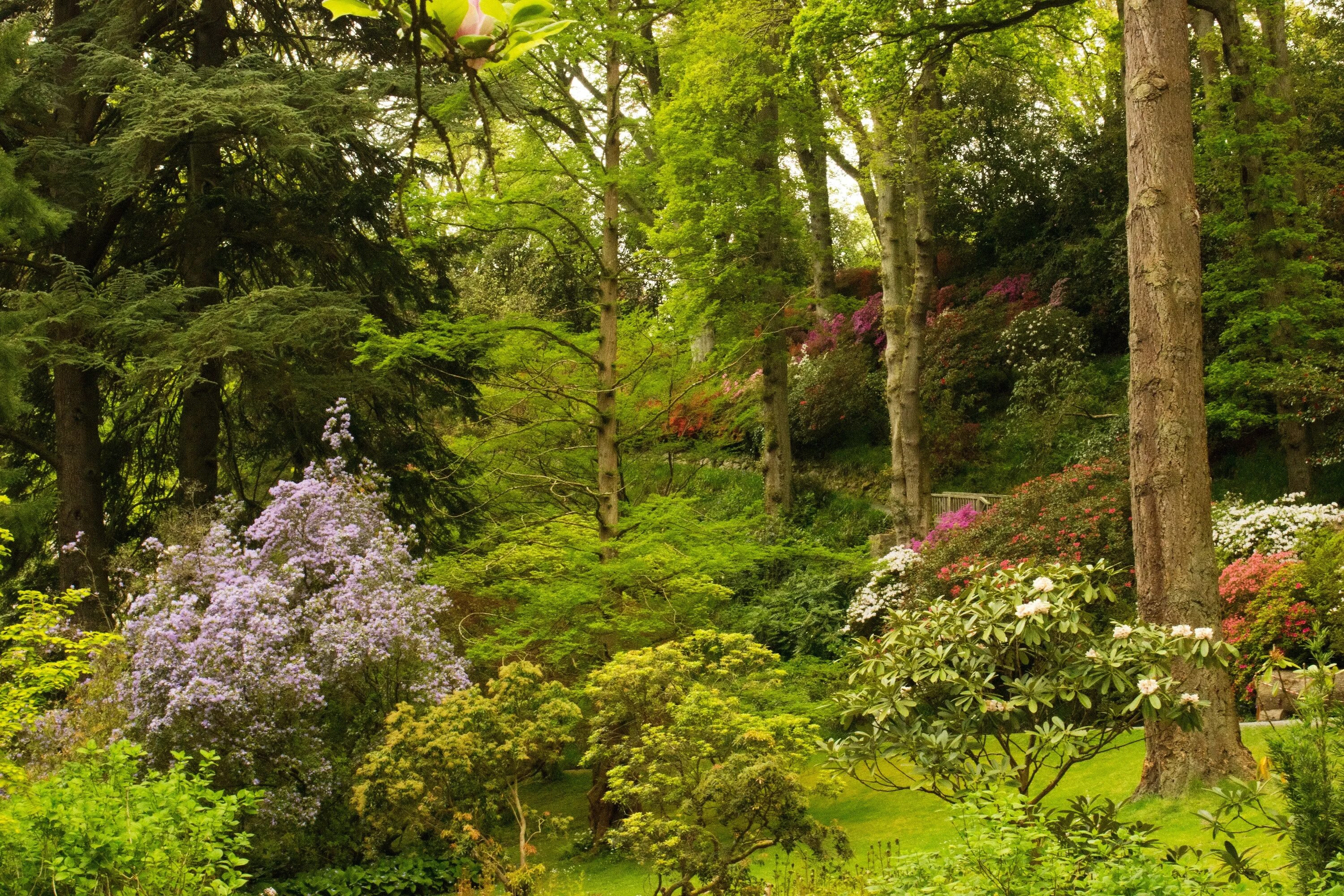 Uk parks. Сад Боднант Уэльс. Ботанический сад в Англии.