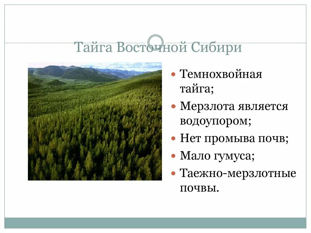 Почвы тайги и их свойства. Природные зоны Восточно сибирской тайги. Почвы Восточной Сибири Сибири. Почва темнохвойной тайги. Почвы зоны тайги.