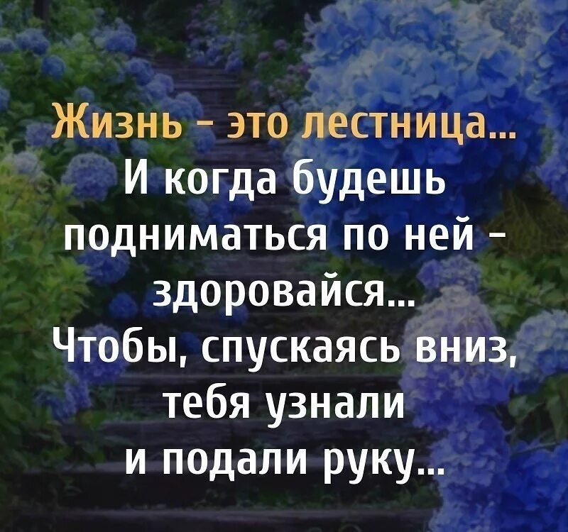 А жизнь не будет сказкой никогда. Жизнь это лестница и когда будешь подниматься по ней здоровайся. когда поднимаешься по лестнице здоровайся. жизнь в лесу. лестница жизни.