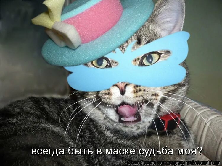 Всегда быть в маске судьба моя. Быть в маске судьба моя. мистер икс всегда быть в маске судьба моя. всегда быть в маске. всегда быть в маске судьба моя приколы.