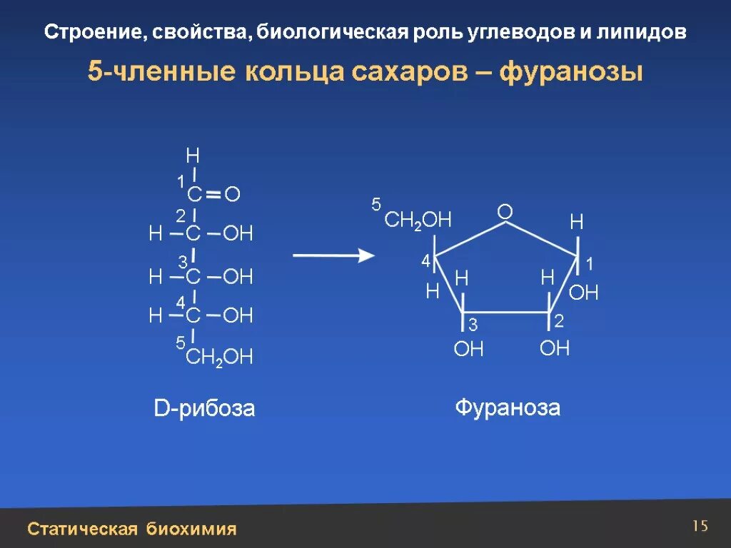 Пираноза рибозы. Биороль d рибозы. Фураноза пентоза. Пиранозная форма d рибозы.