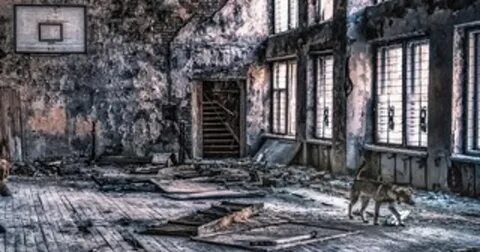 Страшный чернобыль