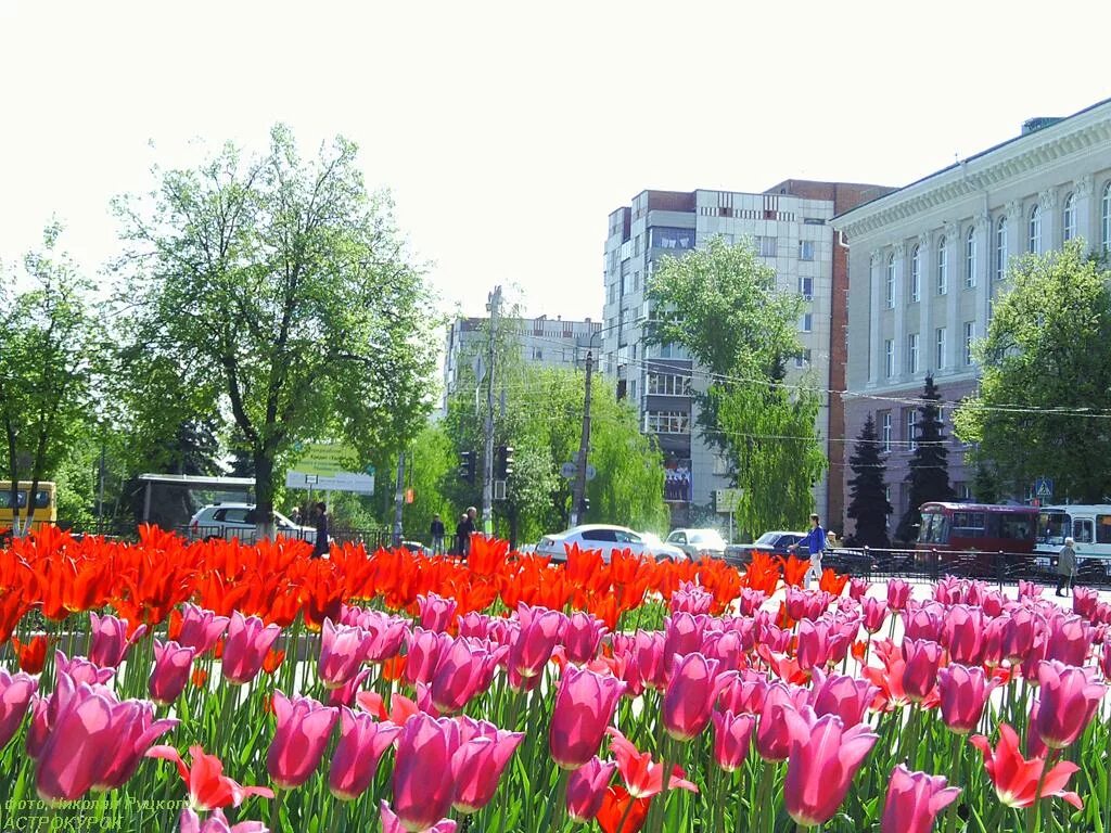 памятник пушкину в курске на театральной площади. храм на победе курск. цветы бесплатной курск. г. главная достопримечательность курска.