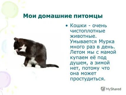Рассказ про домашнего питомца 3 класс литературное