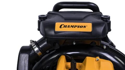 Champion gbr376