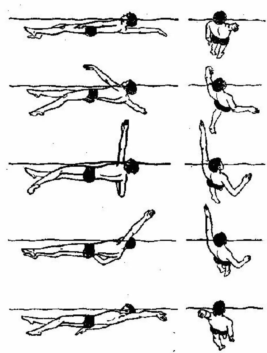 Как научиться плавать под. Кроль брасс. Техника гребка кролем на спине. Брасс и Кроль техника плавания. Кроль на спине техника плавания.