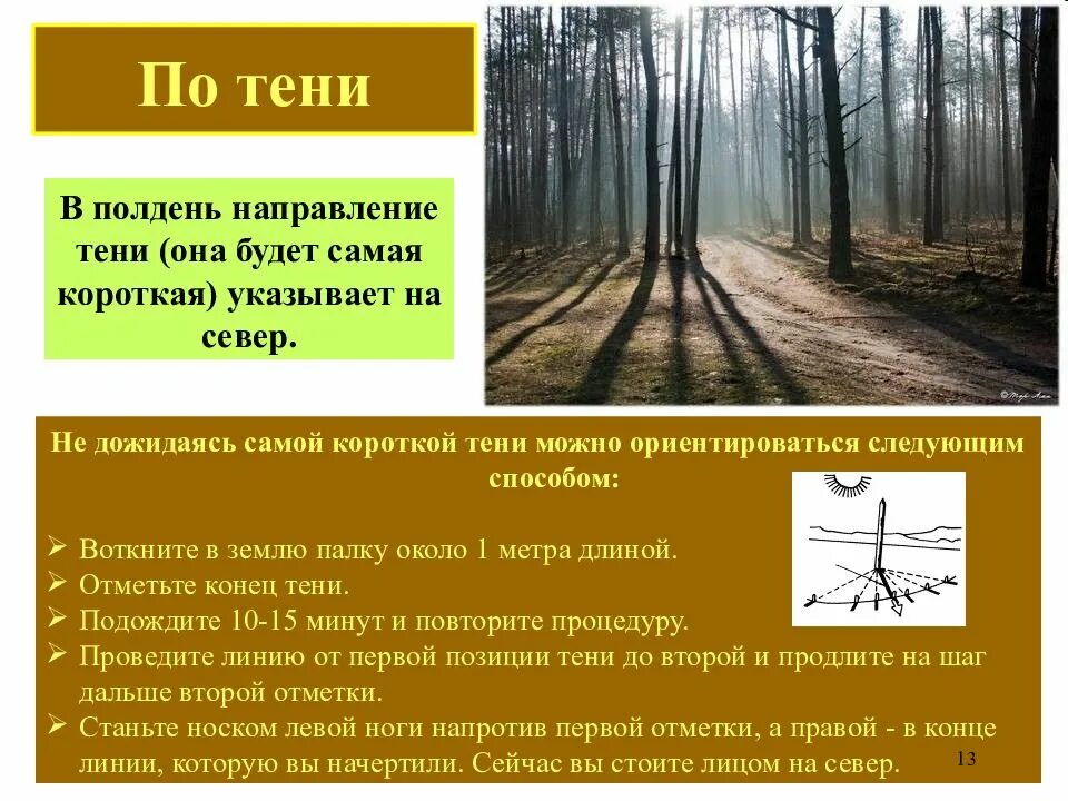 Находит тень и дню конец