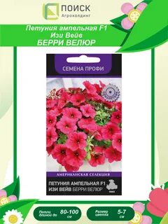 Изи вейв берри