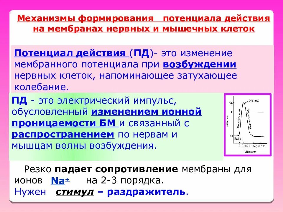 Максимальное использование потенциала. Механизм формирования потенциала покоя. Механизм формирования потенциала действия. Механизм формирования потенциала действия и потенциала покоя. Механизм формирования мембранного потенциала.