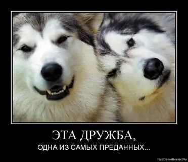 Надписи про дружбу картинки