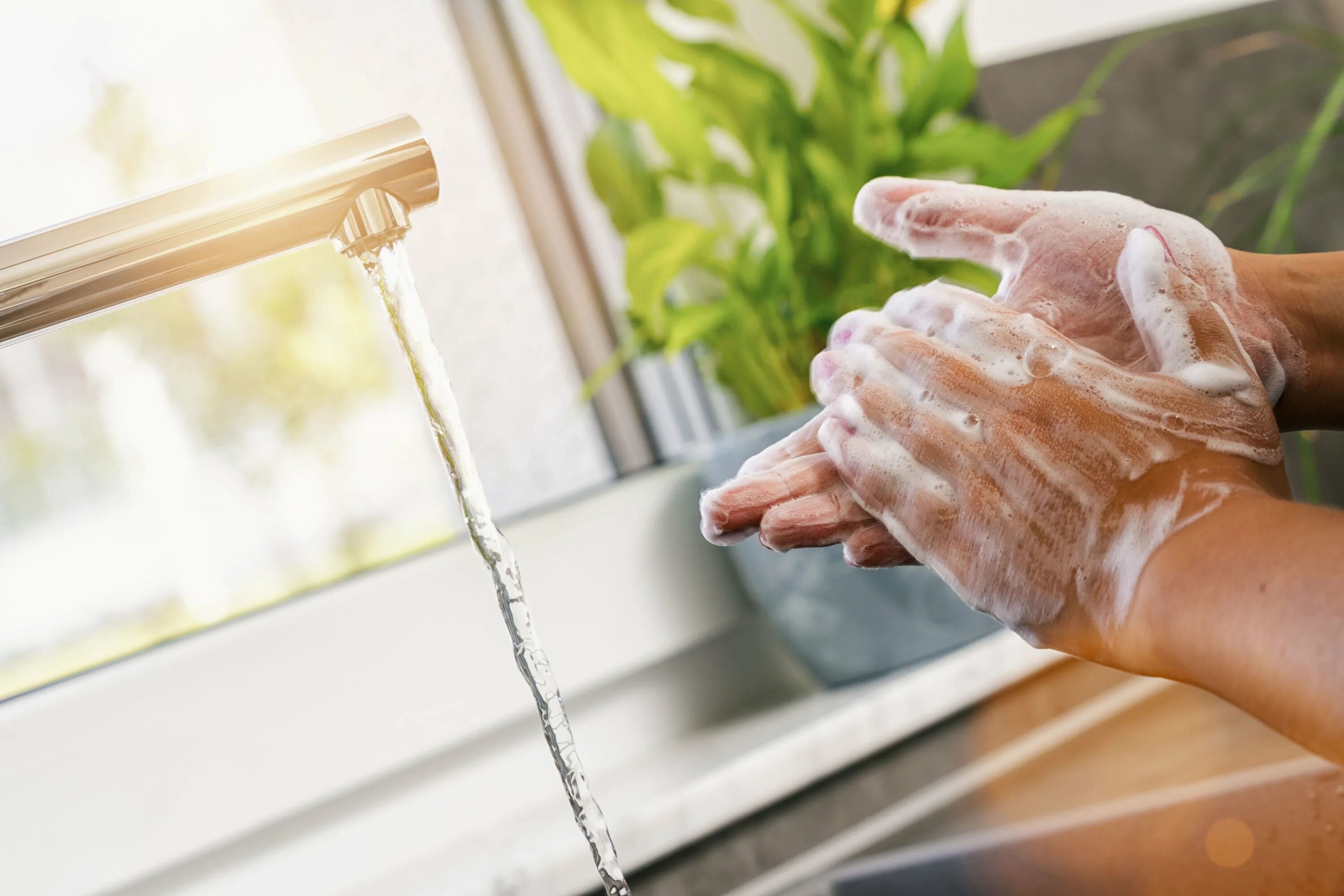 We wash hands