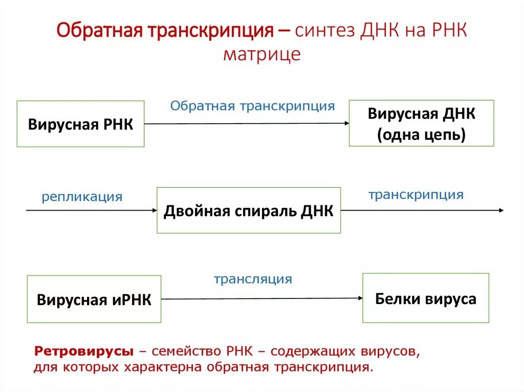 Вирусный транскрипция. Обратная транскрипция у вирусов. Обратная транскрипция схема. Обратная транскрипция РНК вируса. Процесс обратной транскрипции вирусов.