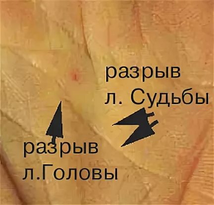 Судьба разорвана. Судьба разорвана