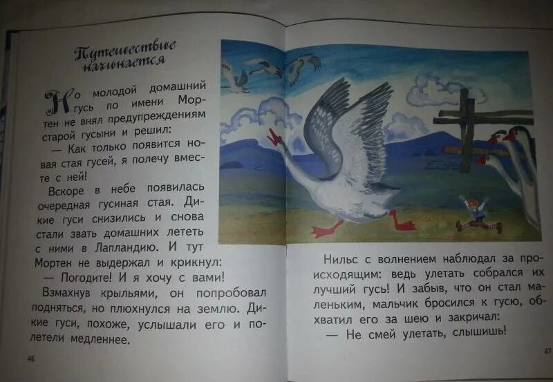 Путешествие нильса с дикими краткое содержание. Путешествие Нильса с дикими гусями. Путешествие Нильса с дикими гусями иллюстрации. Сельма Лагерлеф чудесное путешествие с дикими гусями.