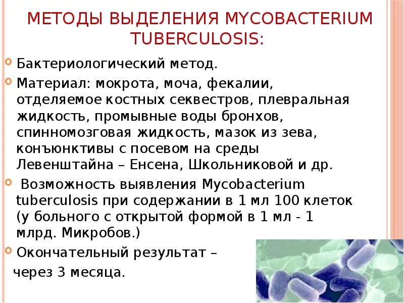 Анализ мокроты на микобактерии. Исследование мокроты на микобактерии туберкулеза. Анализ мокроты на микобактерии туберкулеза. Анализ мокроты на туберкулез. Сбор мокроты на микобактерии туберкулеза.