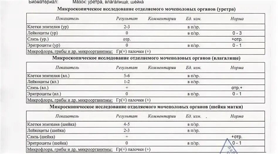 Показатели флоры на мазок. Исследование мочеполовых органов расшифровка. Мазок исследование отделяемого уретры. Микроскопическое исследование отделяемого прямой кишки кдл. Исследование отделяемого уретры.
