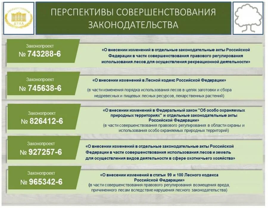 Меры защиты лесов. Правовая охрана лесов. Лесной закон. Памятка о сборе валежника. Новые законы по лесу.
