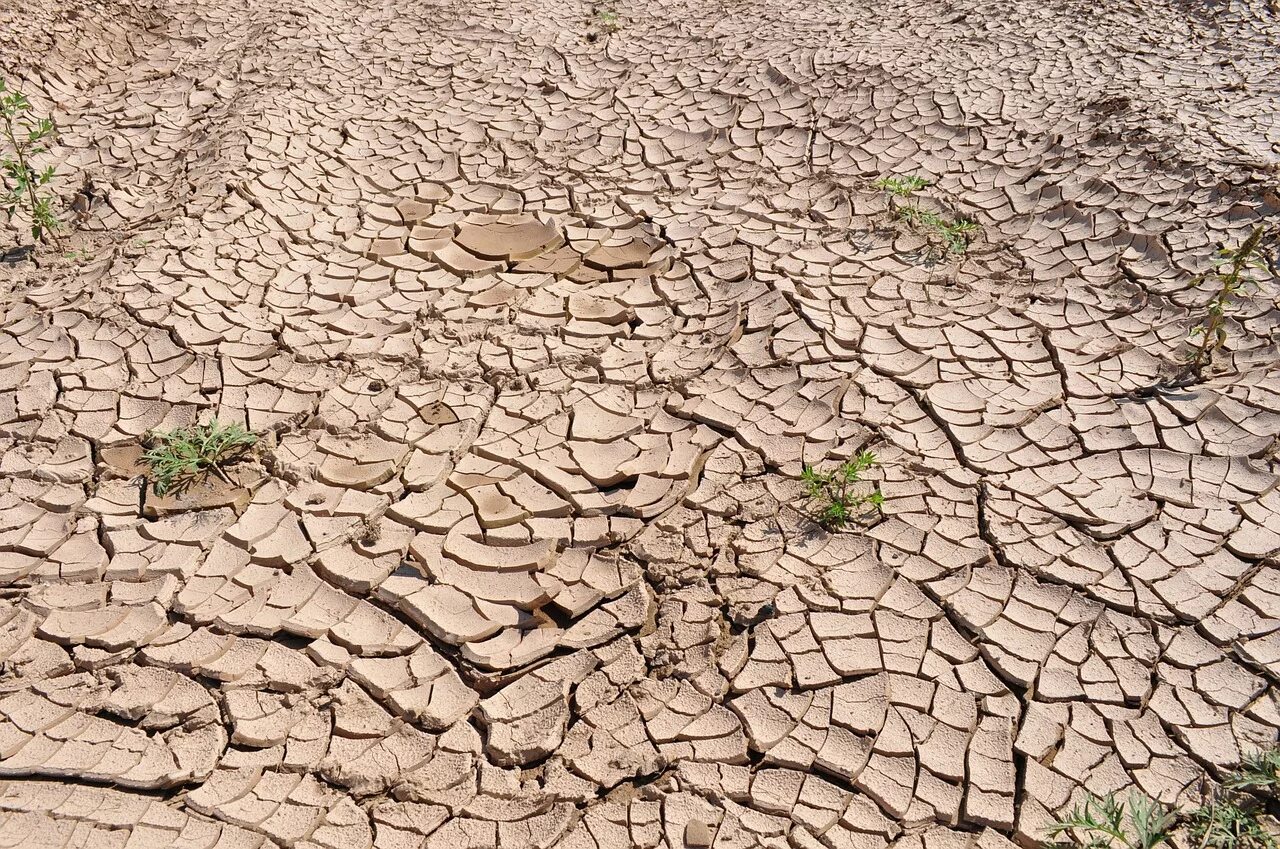 Трещины грунта. Потресканная земля в пустыне. Сухая растресканная земля. Засуха земля потрескалась. Потрескавшаяся земля в пустыне.