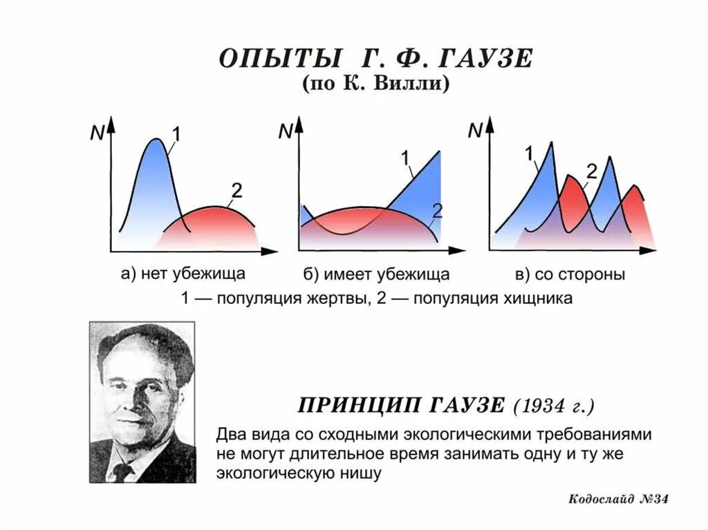 Опыт Гаузе. Эксперимент Гаузе. Принцип Гаузе экология. Принцип Гаузе биология. Принцип исключения гаузе