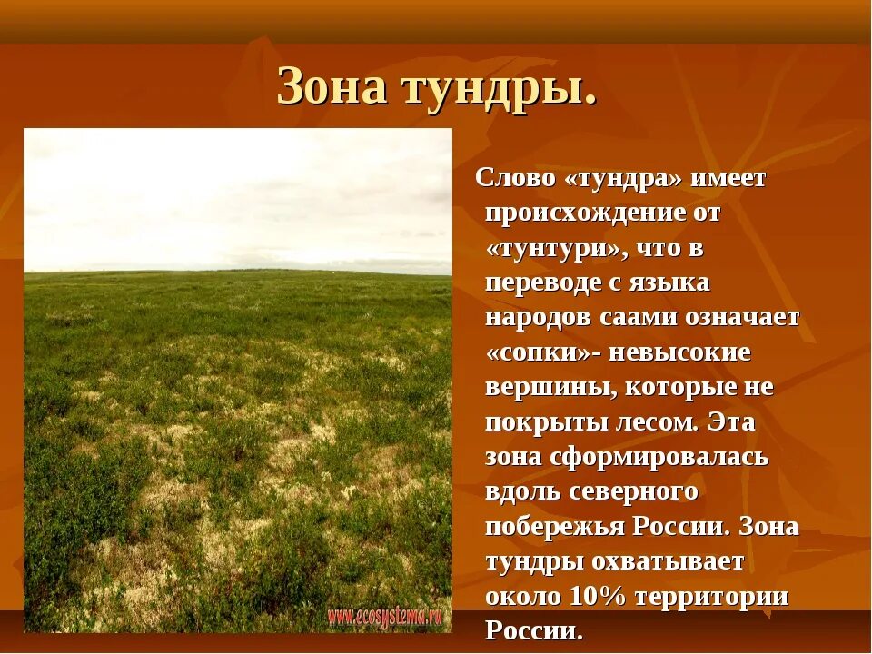 Тундра между природными зонами. Описание тундры. Зона тундры. Тундра природная зона. Тундра описание природной зоны.