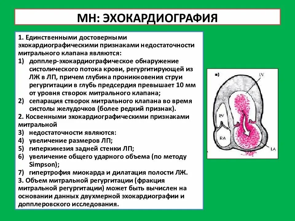 Тк регургитация 1. Митральная регургитация 1 степени. 1 Степень регургитации митрального клапана. Митральная регургитация 1-2 степени что это такое. Митральная регургитация ЭХОКГ.