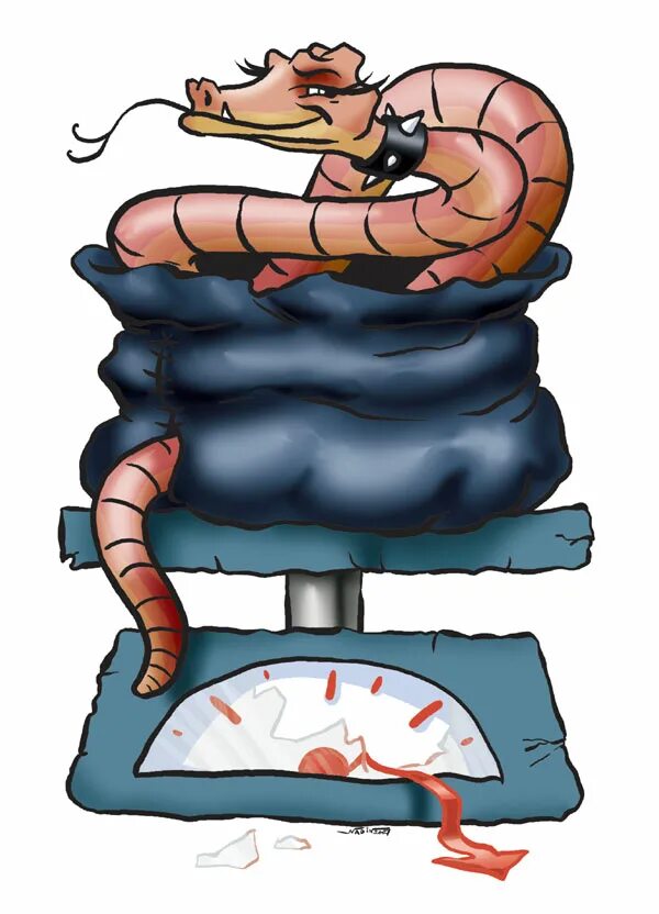 2024 год для змеи весы. тату змея. змея гороскоп. тату весы. символ змея весы.