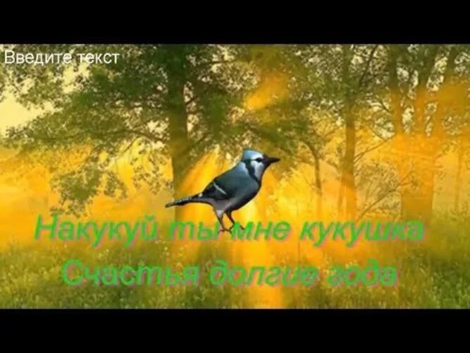 Ты кукуй кукушка все равно