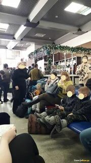 Новосибирск аэропорт рубцовск
