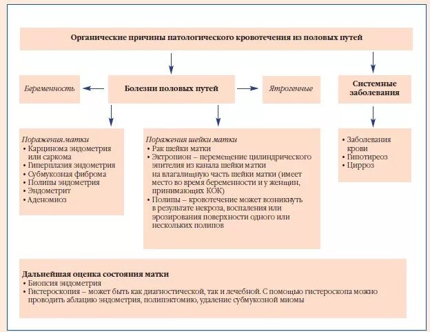 Почему кровит после полового