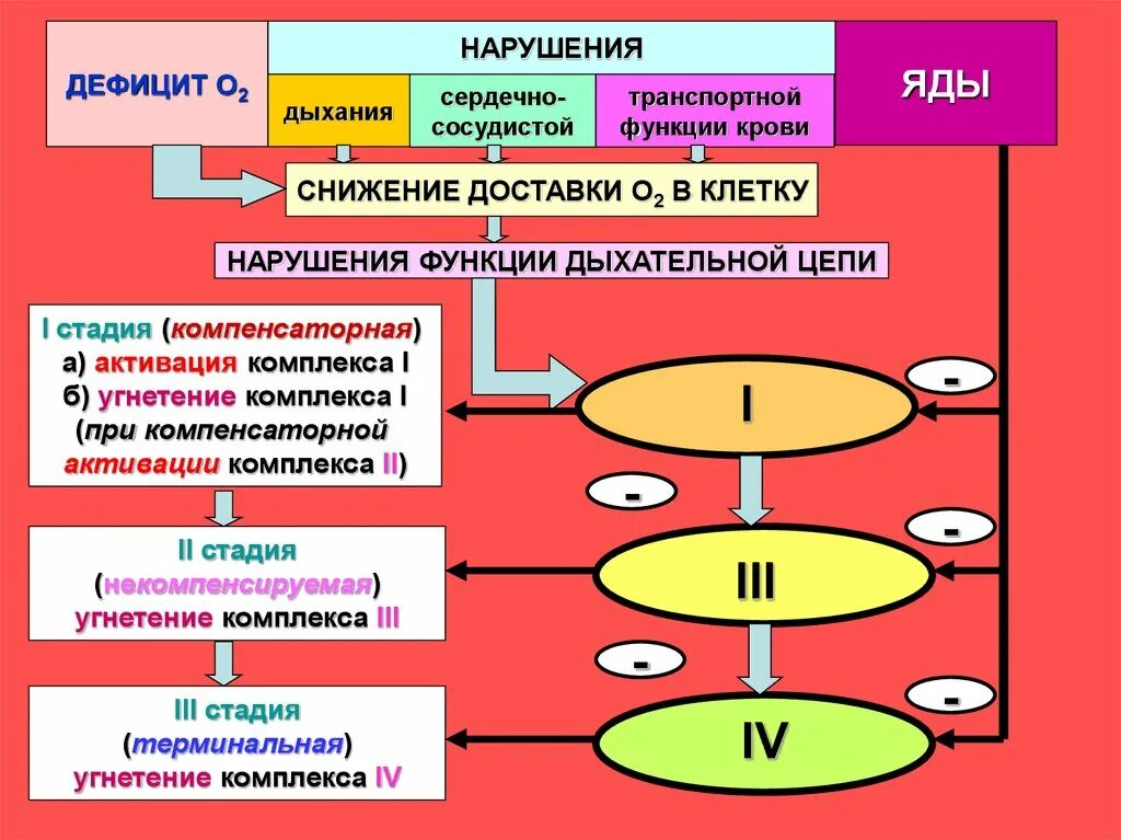 Перечислите составляющие компенсаторного комплекса при слепоте