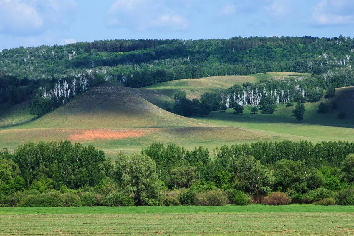 Гладкая поверхность края. Кунгурская лесостепь Пермский край. Формы земной поверхности Челябинской области. Форма земной поверхности Башкортостана. Лесостепи Южного Урала.